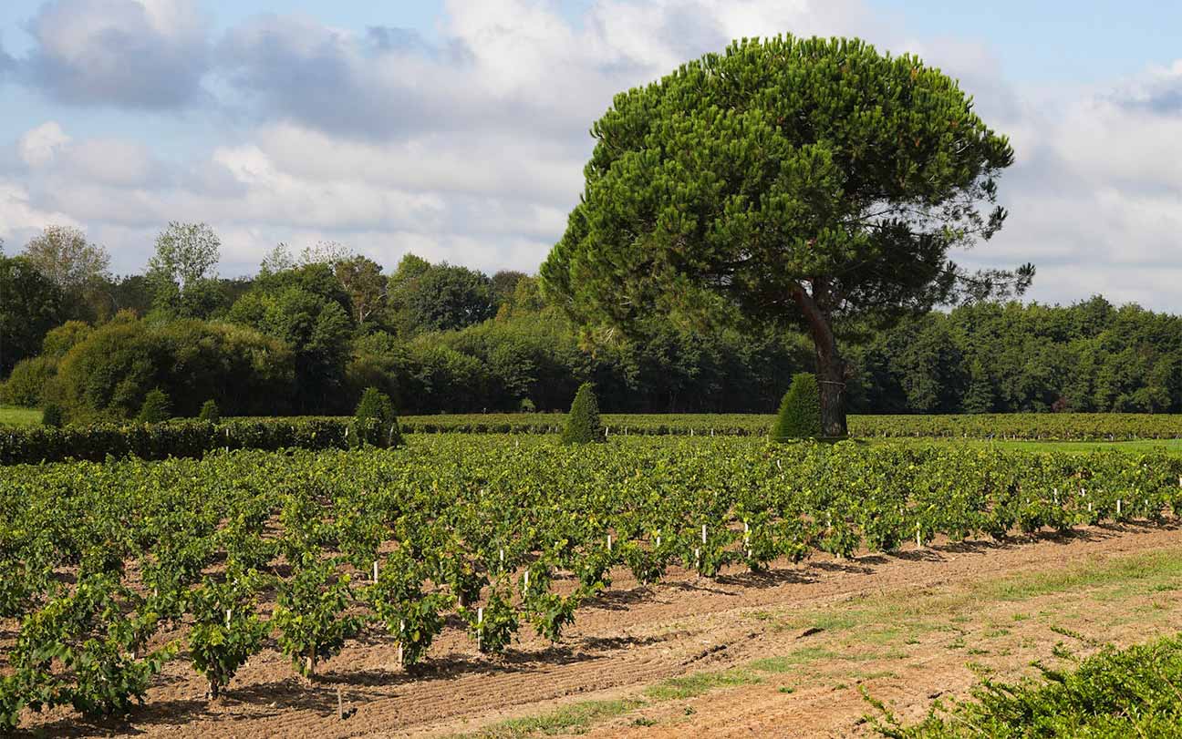 Bienvenue sur le site du Château de Bel-Air