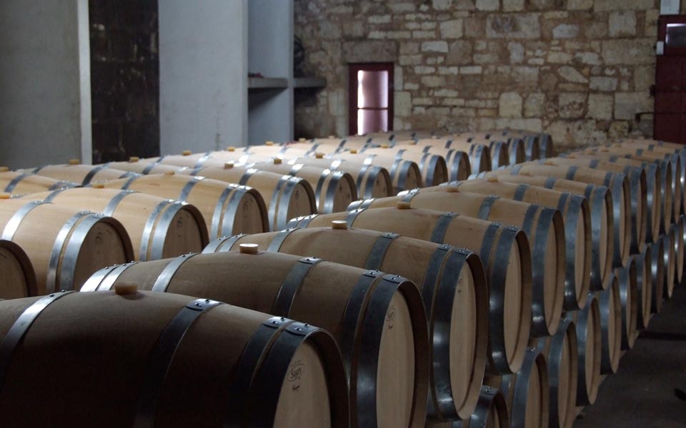 Vignoble et vinification